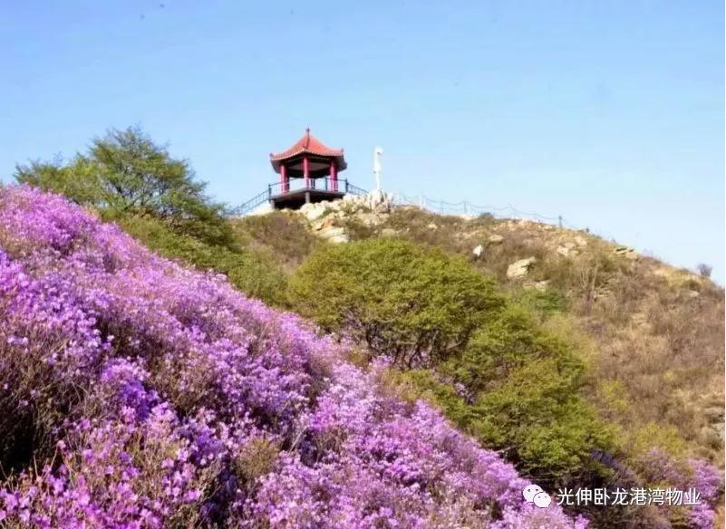 首页- 亿万先生MR集团官网登录