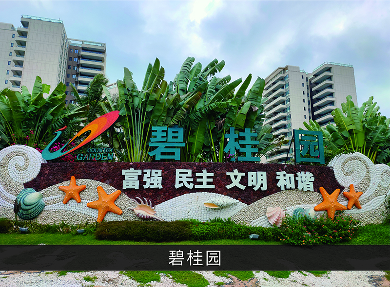 碧桂园_优发国际-业绩案例
