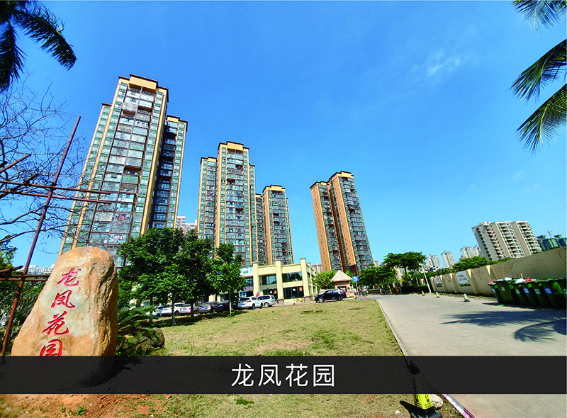 龙凤花园_优发国际-业绩案例