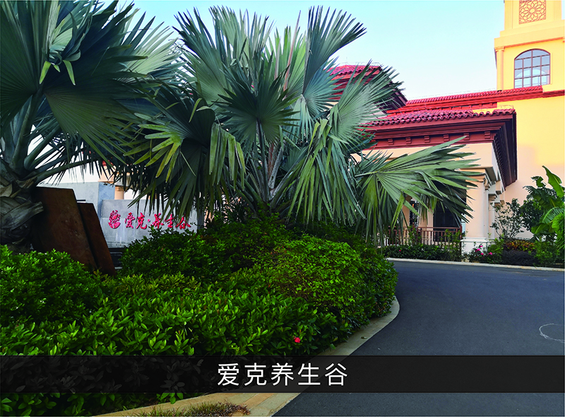 爱克养生谷_优发国际-业绩案例
