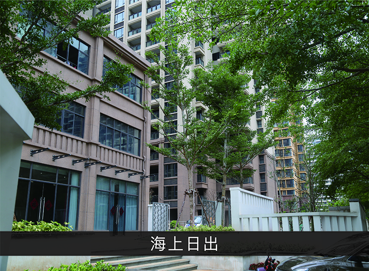 海上日出_优发国际-业绩案例
