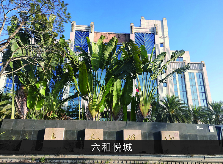六合悦城_优发国际-业绩案例