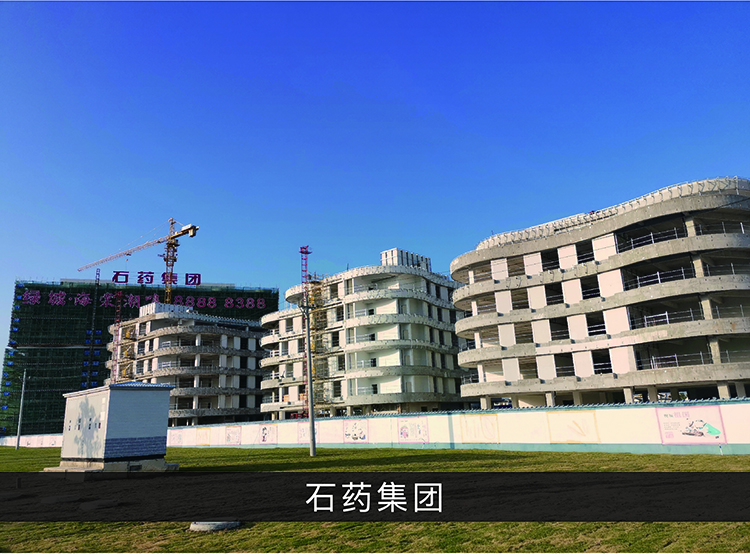 石药集团_优发国际-业绩案例