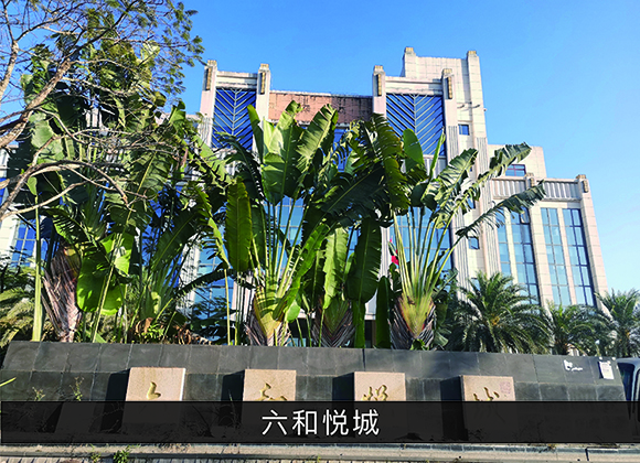 优发国际-业绩案例